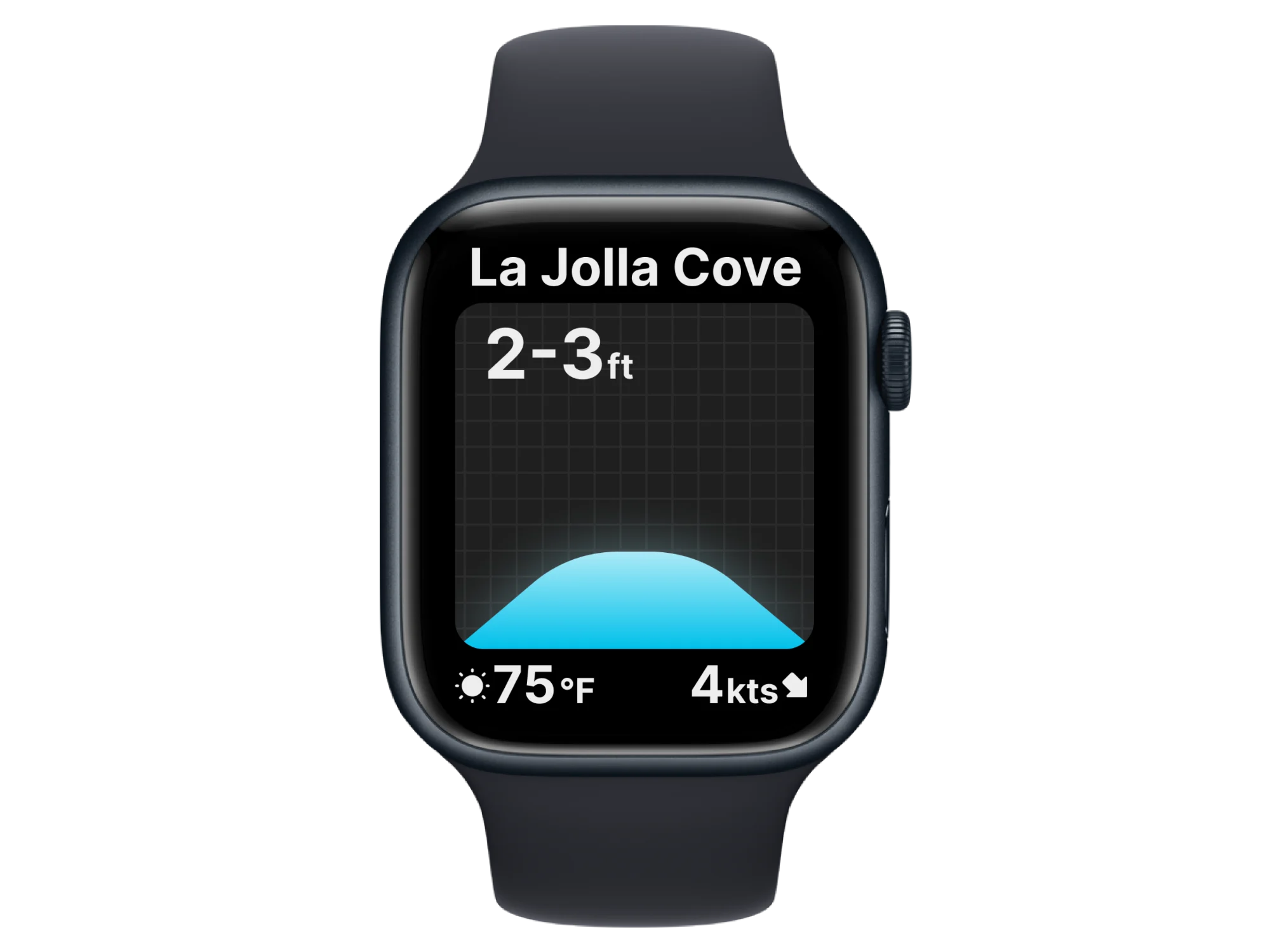 Surf report on a watch